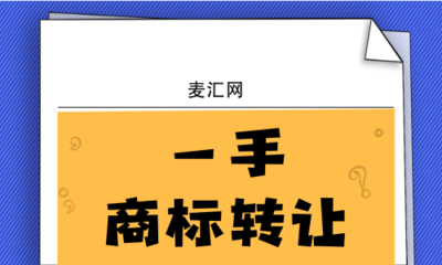 技術(shù)轉(zhuǎn)讓中的知識產(chǎn)權(quán)保護 聚焦軟件技術(shù)轉(zhuǎn)讓的關(guān)鍵策略與法律考量